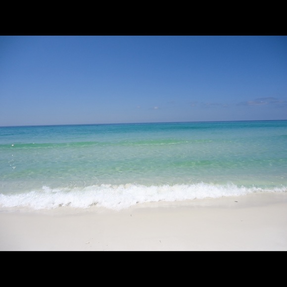 Meet your Posher, Shawn - Picture 1 of 1